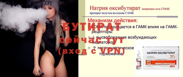 сатива Аркадак